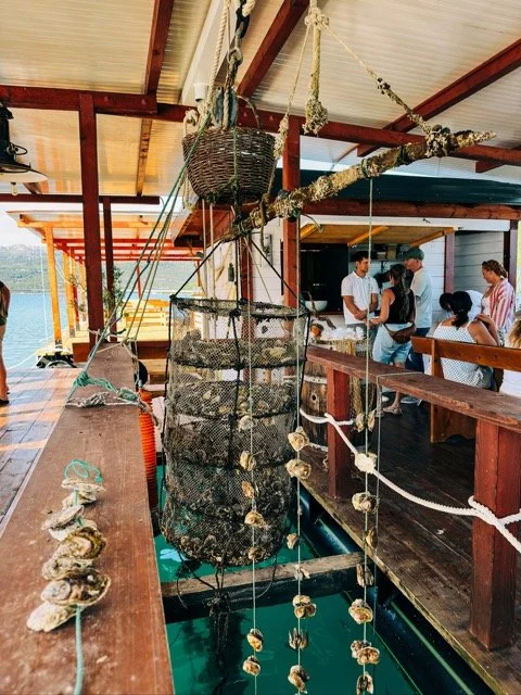 Jamie Croatia 4.jpeg