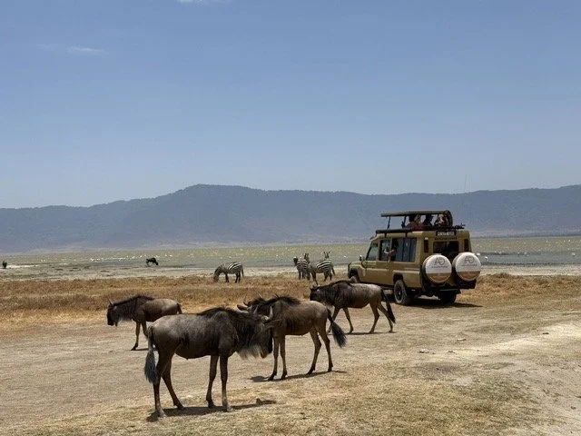 Kilimanjaro blog 9.jpeg