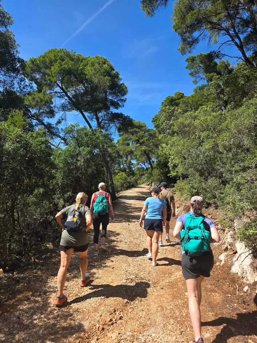 Hiking from Behind.webp