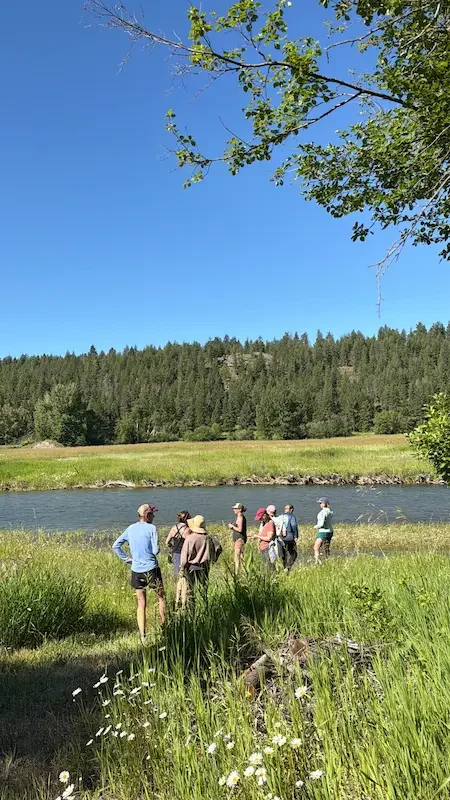 montana campout blog 8.webp