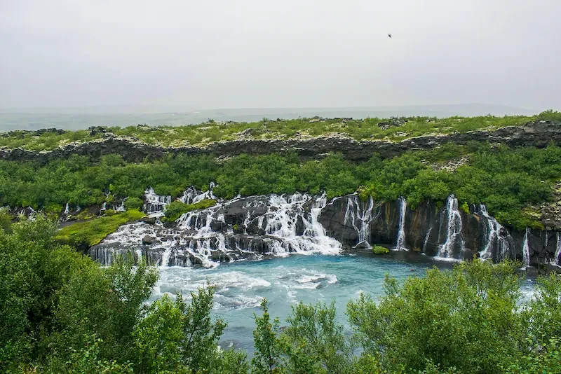waterfall flowing into blue water with green trees around in iceland