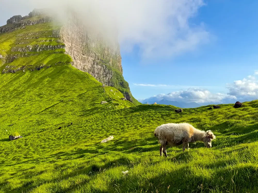 Faroe-islands-womens-trip-15.webp