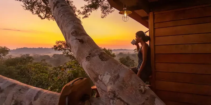 amazon-jungle-peru-Treehouse-1.webp