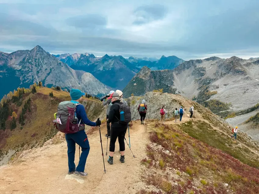 northern-cascades-larches--19.webp