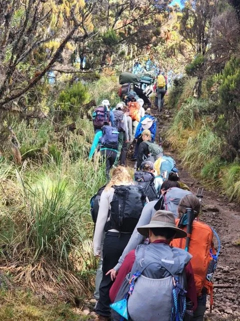 Kilimanjaro trek 2025 11.jpeg