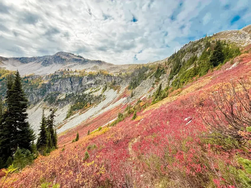 northern-cascades-larches--23.webp