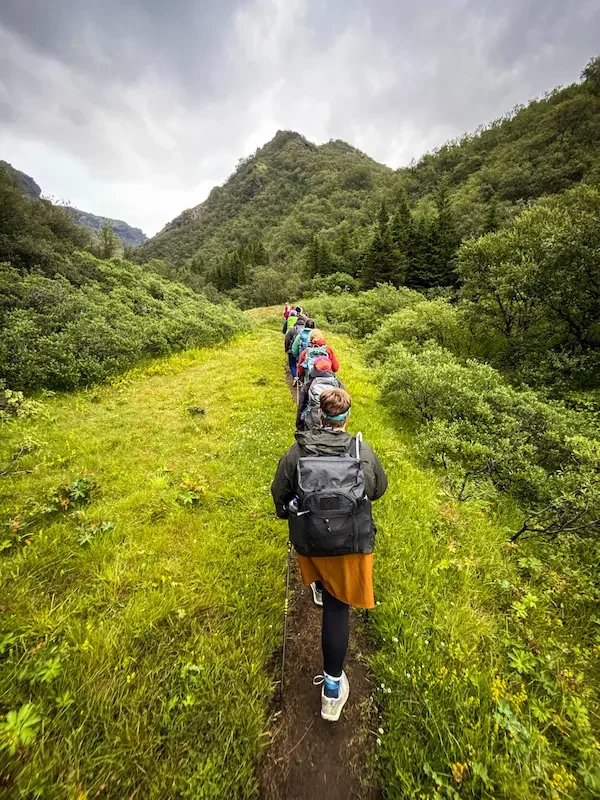 hikers on laugavegur trek on narrow trail thats very green