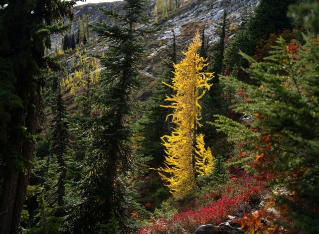Cascades 9.jpeg