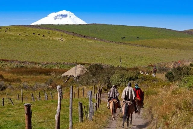 Ecuador Galapagos 18.jpeg