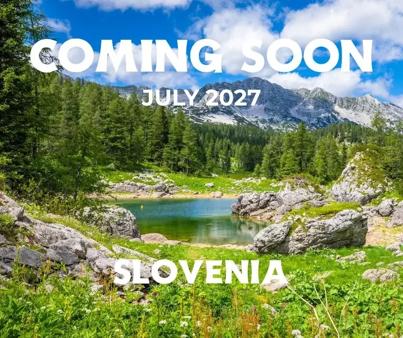 slovenia in summer with forest mountains and lake with blue sky and puffy white clouds