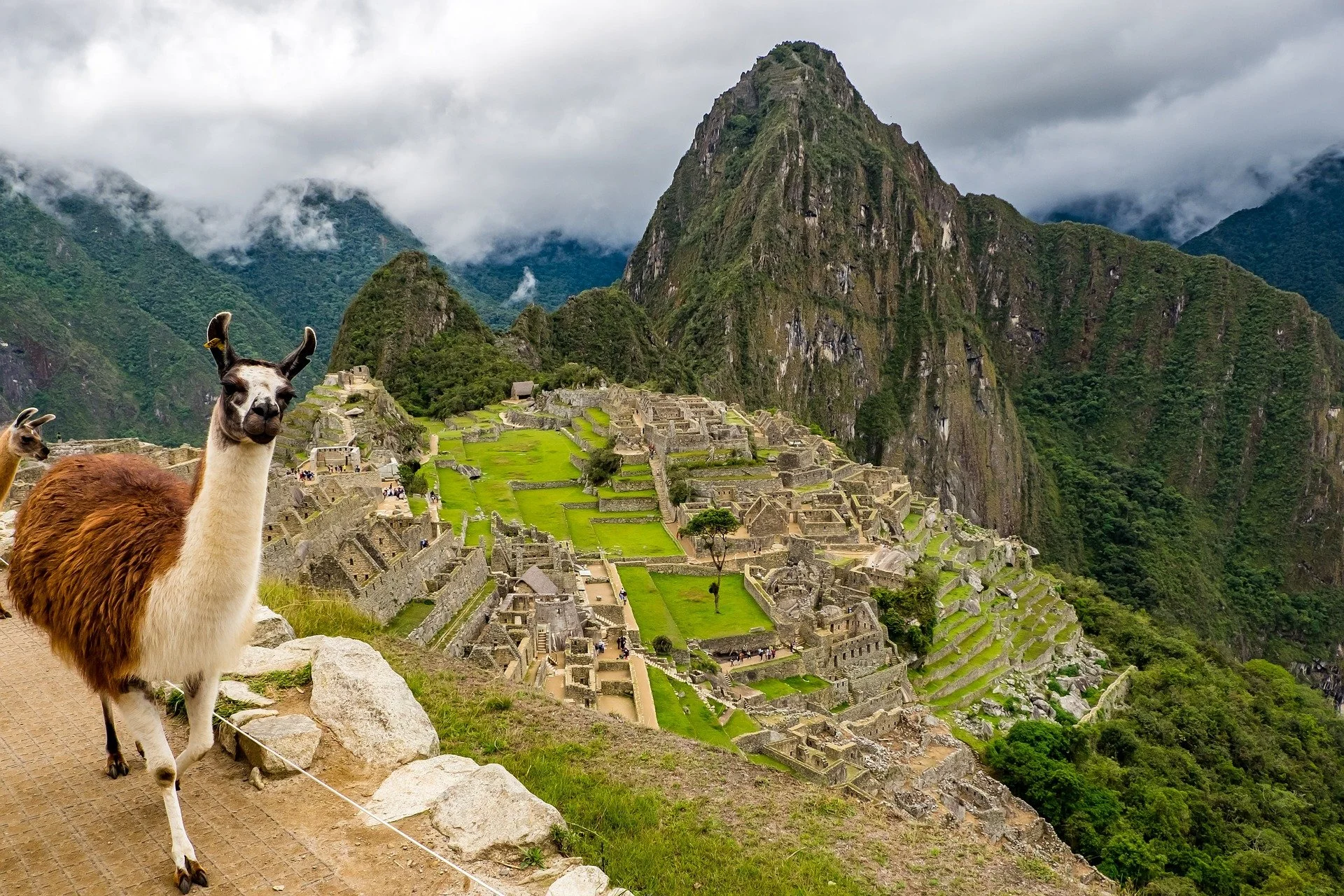 machu pichu 1.jpeg