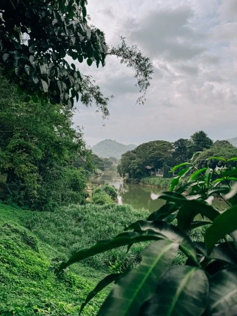 Sri Lanka 21.jpeg
