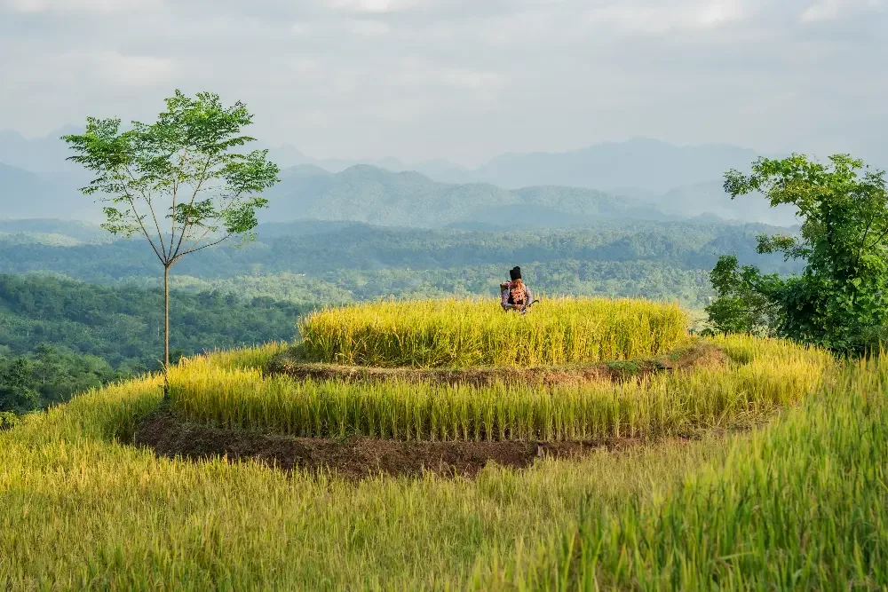 northern-vietnam-adventure-8.webp