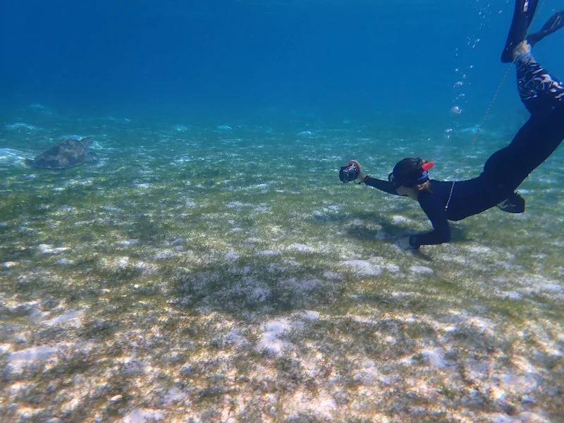 snorkeler taking a photo underwater