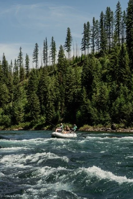 Montana McKenna 11.jpeg