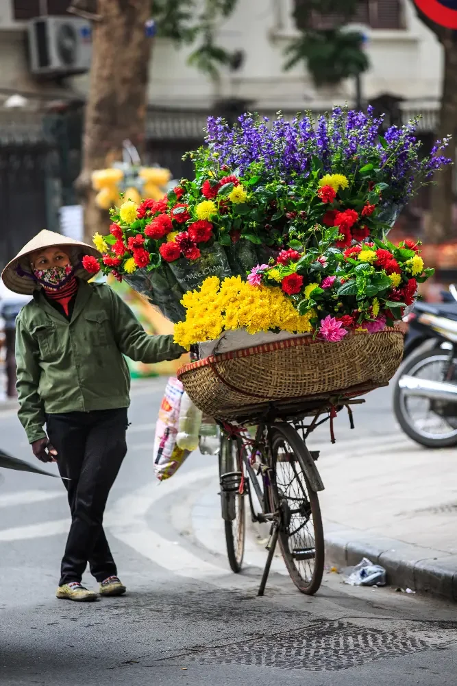 northern-vietnam-adventure-11.webp