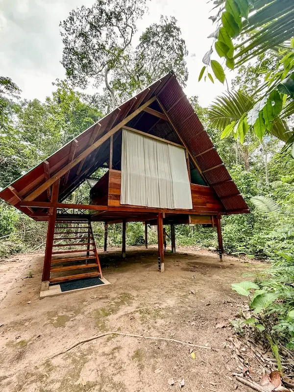 a frame accommodation on stilts in amazon rainforest