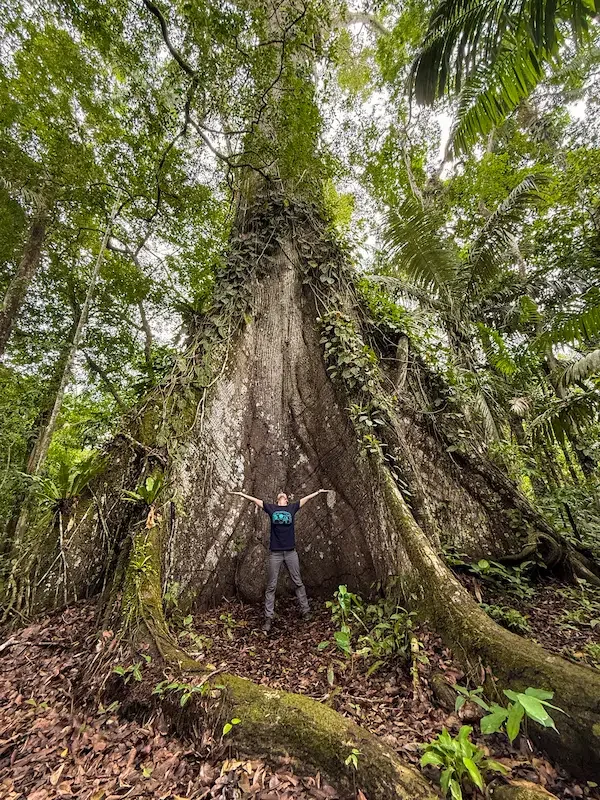 woman with arms up standing in front of large tree in amazon rainforest
