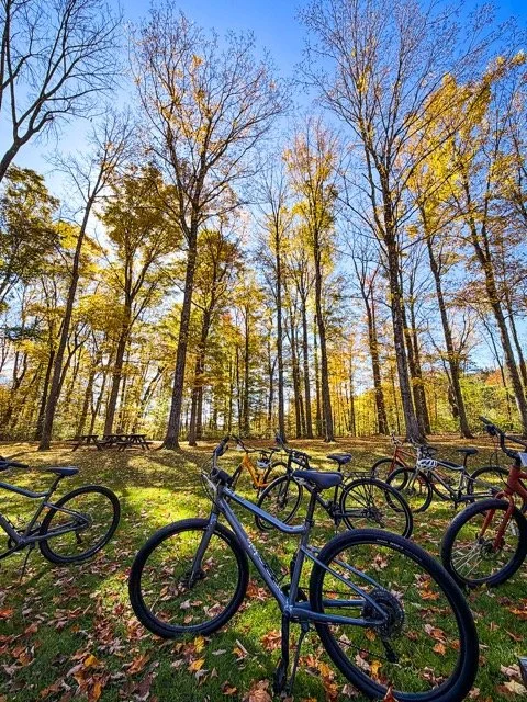 Vermont leaves 7.jpeg