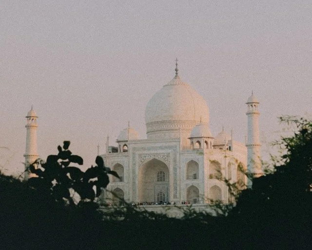 India Holi 29 Medium.jpeg