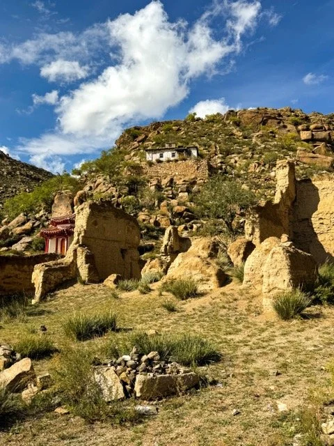 Mongolia Heartland 9.jpeg