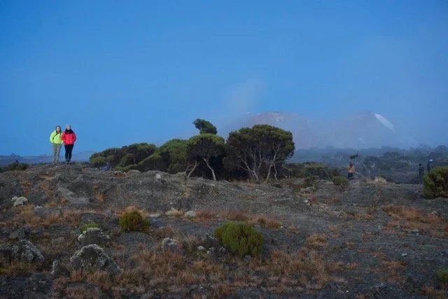 Kilimanjaro trek 2025 48.jpeg