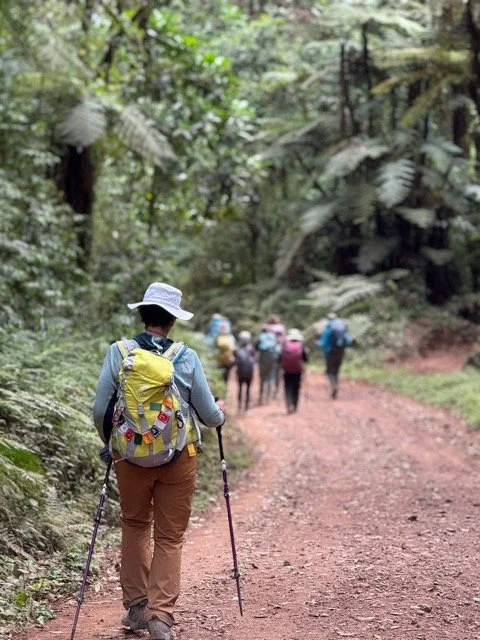 Kilimanjaro trek 2025 74.jpeg