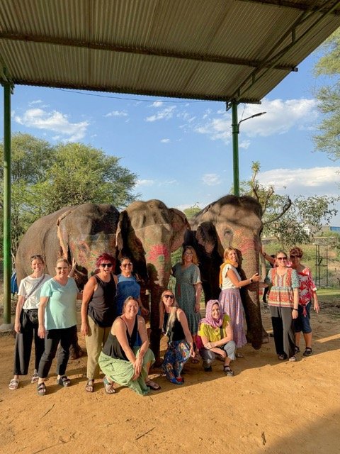 India Holi 20 Medium.jpeg