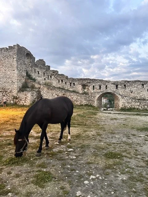 Albania 11.jpeg