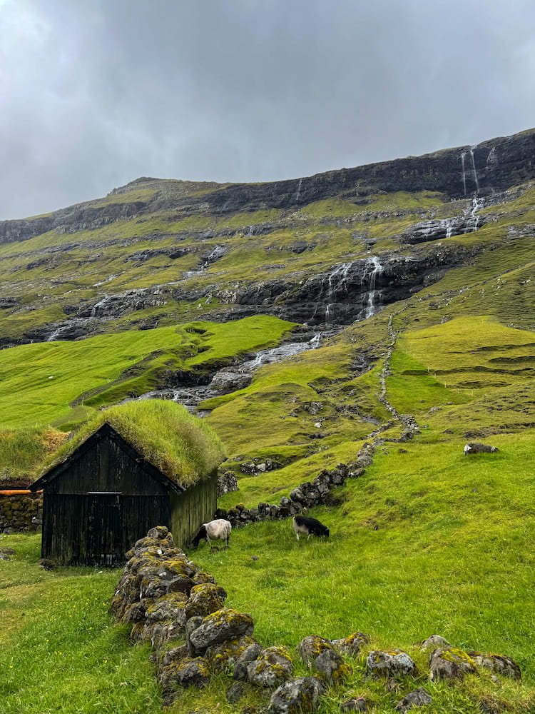 Faroe Islands 11.jpg