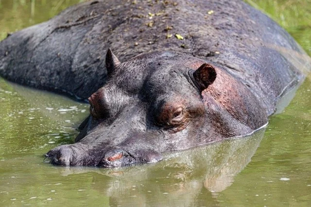 Uganda 59.jpeg