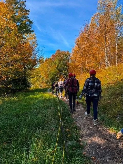 Vermont leaves 10.jpeg