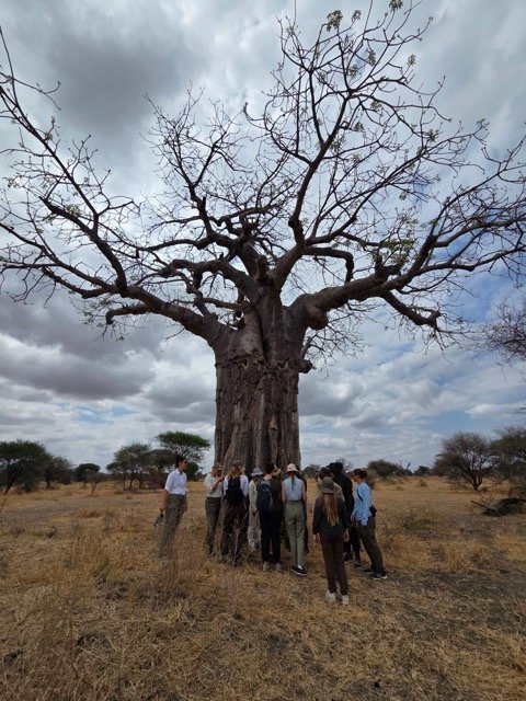 Kilimanjaro trek 2025 40.jpeg