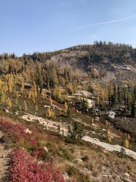 Cascades 3.jpeg