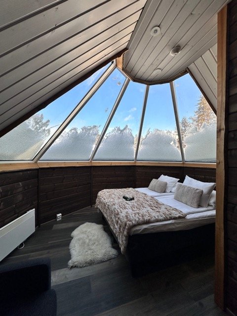 Lapland 2025 22.jpeg