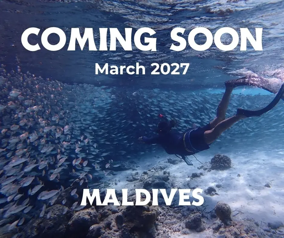 snorkeler in maldives ocean with school of fish