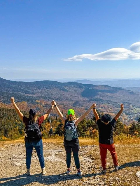 Vermont leaves 5.jpeg