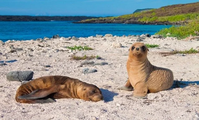 Ecuador Galapagos 26.jpeg