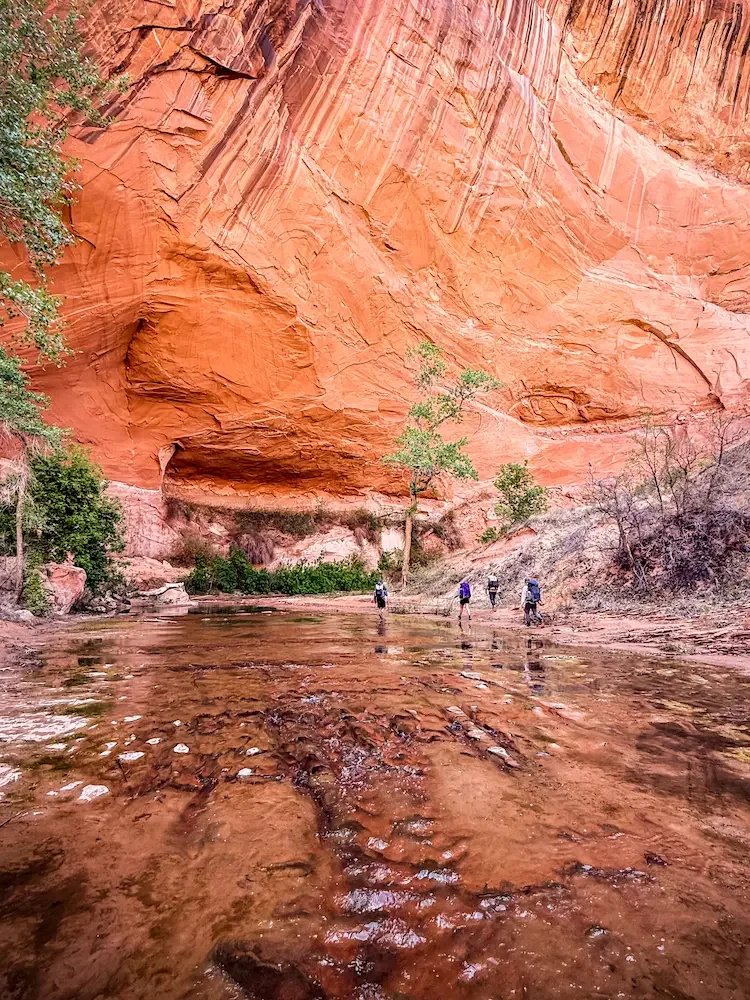 coyote-gulch-backpacking-3.webp
