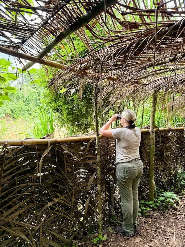 woman behind natural fencing looking at jungle through binoculars 