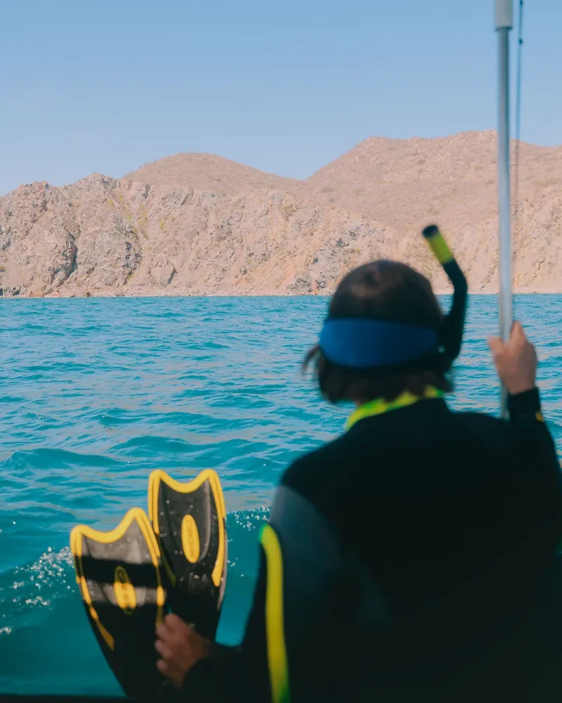 baja-mexico-snorkeling-7.webp