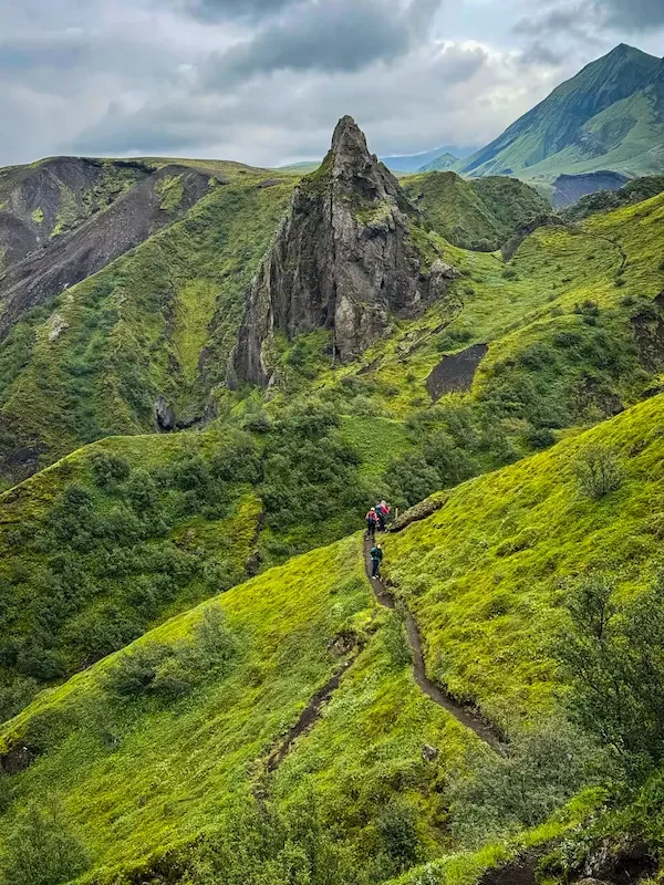 hikers on narrow trail on laugavegur trek with greenery and sharp mountains