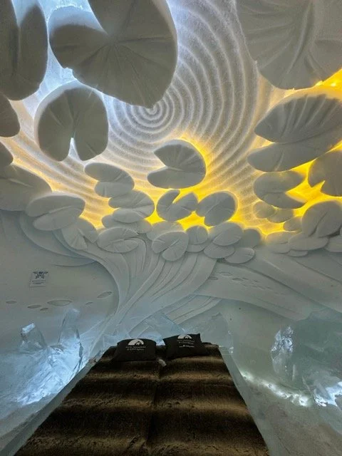 Lapland 2025 18.jpeg