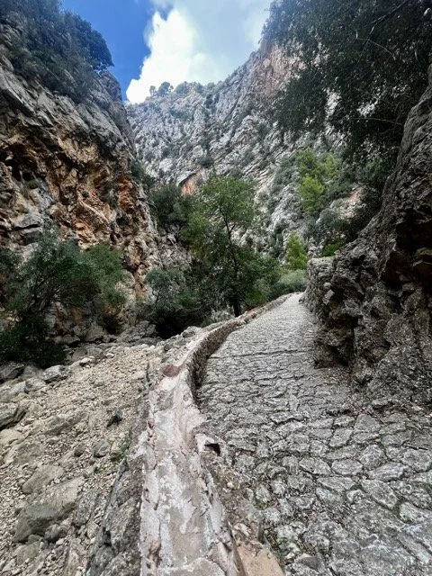 Mallorca 17.jpeg