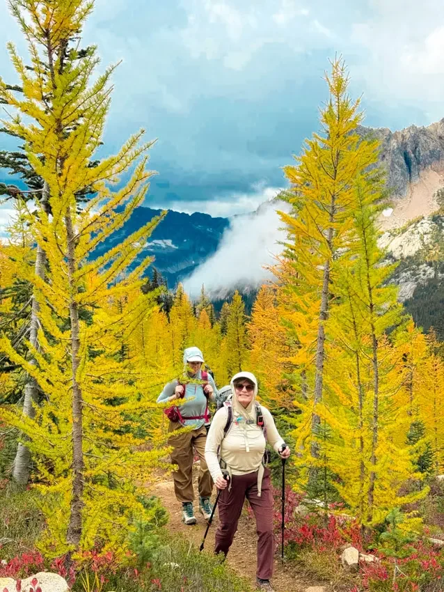northern-cascades-larches--13.webp