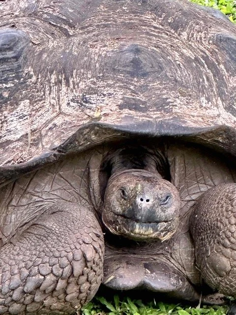 Ecuador Galapagos 6.jpeg