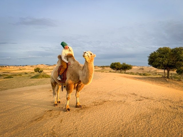 Mongolia Heartland 6.jpeg