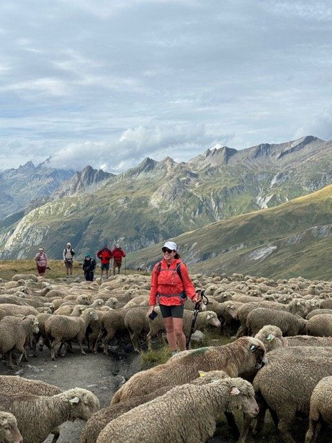 Tour du mont blanc trek 1.jpeg