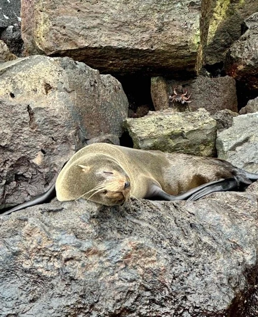 Ecuador Galapagos 20.jpeg