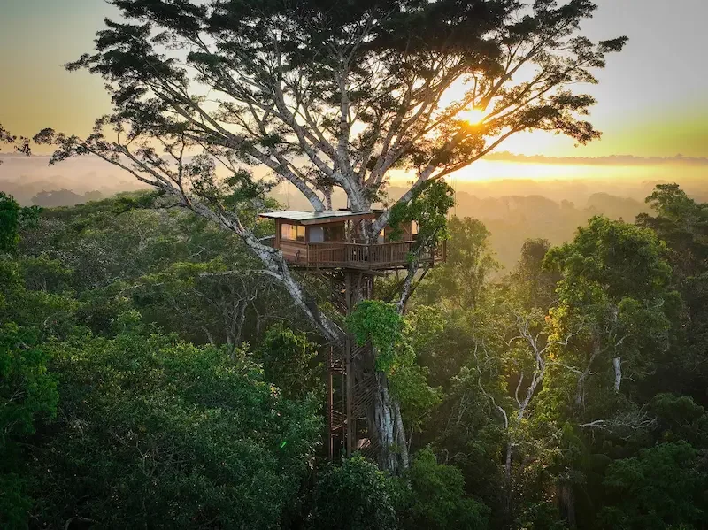 amazon-jungle-peru-Treehouse-2.webp